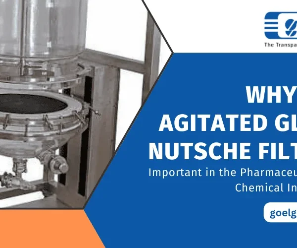 Agitated Glass Nutsche Filters